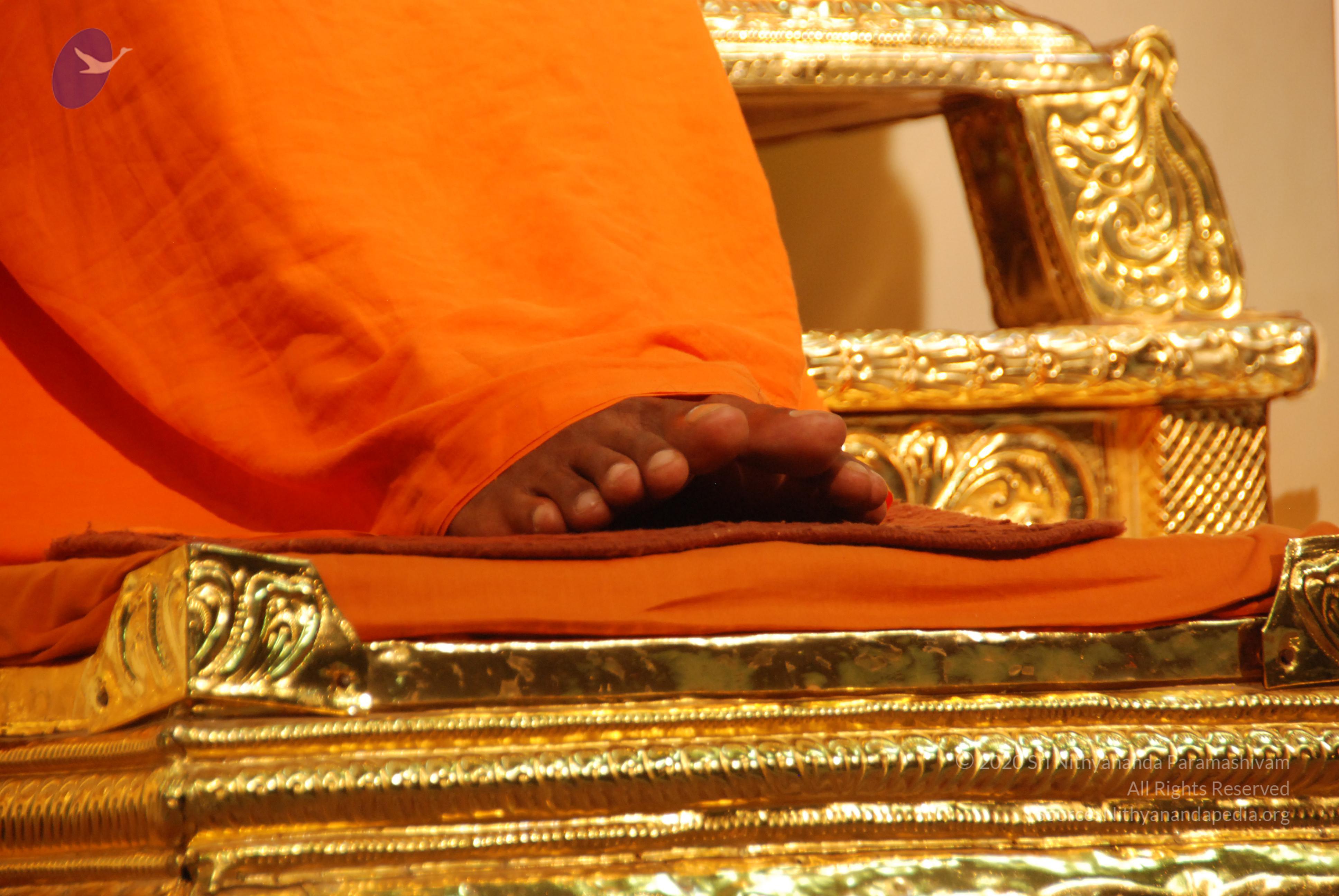 20100808_Photo_1029_DSC_6882_CMP_WM